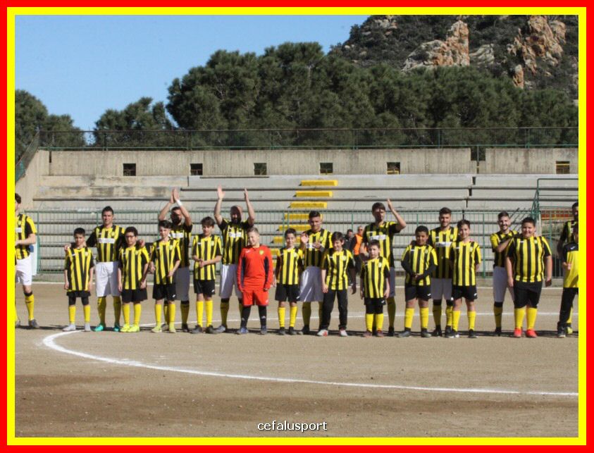 190310 Cephal_Torrenov 027_tn.jpg